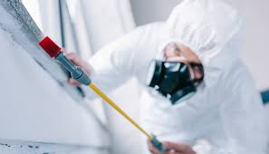 Best Pest Control for Multi-Family Homes  in Renovo, PA